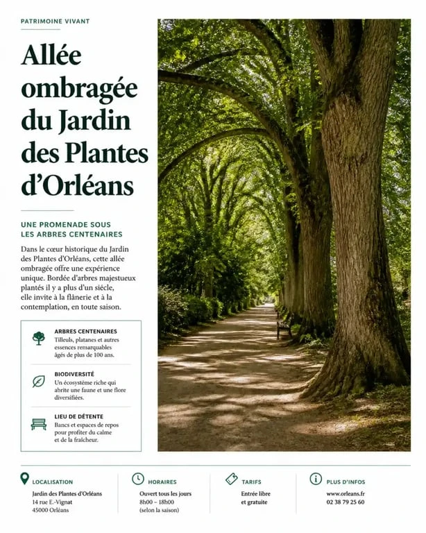 Arbres centenaires du Jardin des Plantes d'Orléans