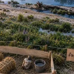 Pasto’Loire : le pâturage au cœur de la biodiversité ligérienne
